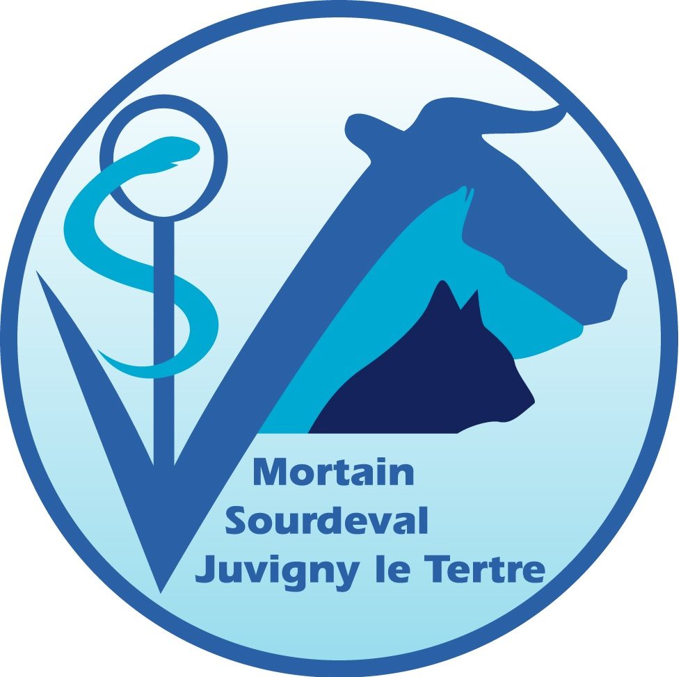 Clinique vétérinaire des quatre vents